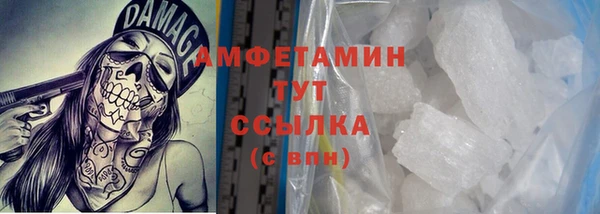 хмурый Аркадак