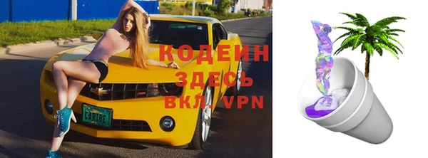 хмурый Аркадак