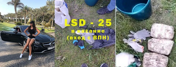 хмурый Аркадак