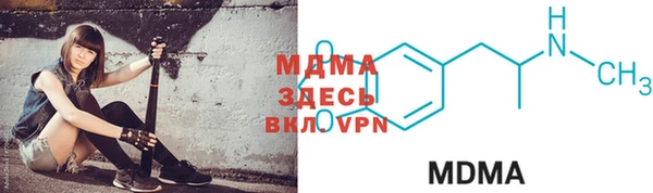 хмурый Аркадак