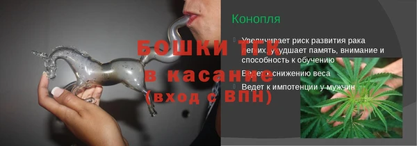 хмурый Аркадак