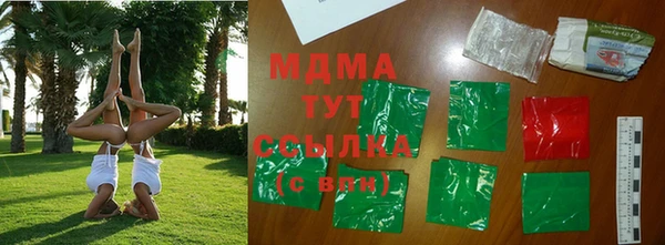 хмурый Аркадак